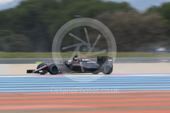 World © Octane Photographic Ltd. Pirelli wet tyre test, Paul Ricard, France. Tuesday 26th January 2016. McLaren Honda MP4/30 – Stoffel Vandoorne. Digital Ref: 1499CB7D5744