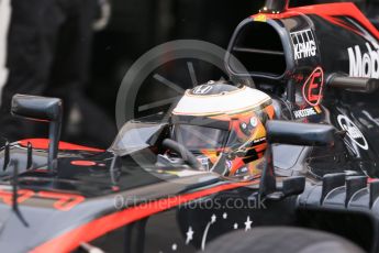 World © Octane Photographic Ltd. Pirelli wet tyre test, Paul Ricard, France. Tuesday 26th January 2016. McLaren Honda MP4/30 – Stoffel Vandoorne. Digital Ref: 1499LB1D6093