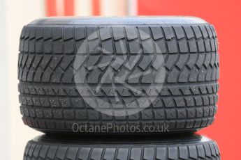 World © Octane Photographic Ltd. Pirelli wet tyre test, Paul Ricard, France. Tuestay 26th January 2016. Tyres Ferrari used. Digital Ref: 1499LB5D6030