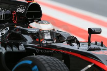 World © Octane Photographic Ltd. McLaren Honda MP4/30 – Stoffel Vandoorne. Tuesday 23rd June 2015, F1 In Season Testing, Red Bull Ring, Spielberg, Austria. Digital Ref: 1322LB1D0548
