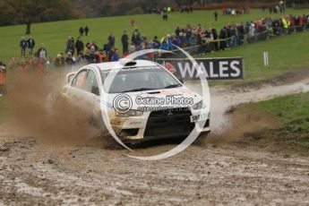 © North One Sport Limited 2010/ Octane Photographic Ltd. 2010 WRC Great Britain, Sunday 14th November 2010. Digital ref : 0120cb1d0522