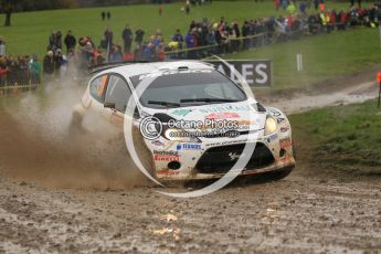 © North One Sport Limited 2010/ Octane Photographic Ltd. 2010 WRC Great Britain, Sunday 14th November 2010. Digital ref : 0120cb1d0539
