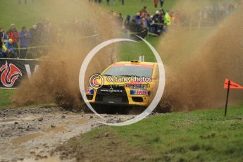 © North One Sport Limited 2010/ Octane Photographic Ltd. 2010 WRC Great Britain, Sunday 14th November 2010. Digital ref : 0120cb1d0666