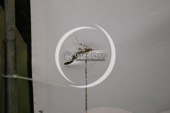 © North One Sport Limited 2010/ Octane Photographic Ltd. 2010 WRC Great Britain, Sunday 14th November 2010. Digital ref : 0120cb1d0774