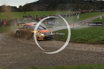 © North One Sport Limited 2010/ Octane Photographic Ltd. 2010 WRC Great Britain, Sunday 14th November 2010. Digital ref : 0120lw1d0053