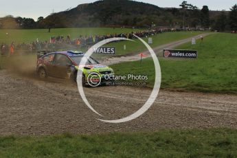 © North One Sport Limited 2010/ Octane Photographic Ltd. 2010 WRC Great Britain, Sunday 14th November 2010. Digital ref : 0120lw1d0063