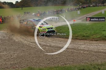 © North One Sport Limited 2010/ Octane Photographic Ltd. 2010 WRC Great Britain, Sunday 14th November 2010. Digital ref : 0120lw1d0073