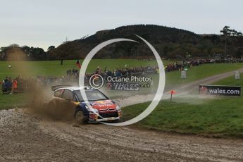 © North One Sport Limited 2010/ Octane Photographic Ltd. 2010 WRC Great Britain, Sunday 14th November 2010. Digital ref : 0120lw1d0083