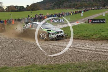 © North One Sport Limited 2010/ Octane Photographic Ltd. 2010 WRC Great Britain, Sunday 14th November 2010. Digital ref : 0120lw1d0128