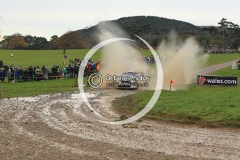 © North One Sport Limited 2010/ Octane Photographic Ltd. 2010 WRC Great Britain, Sunday 14th November 2010. Digital ref : 0120lw1d0171