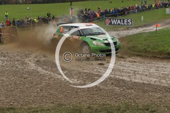 © North One Sport Limited 2010/ Octane Photographic Ltd. 2010 WRC Great Britain, Sunday 14th November 2010. Digital ref : 0120lw1d0208