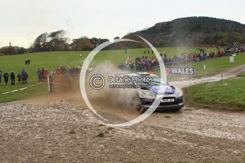© North One Sport Limited 2010/ Octane Photographic Ltd. 2010 WRC Great Britain, Sunday 14th November 2010. Digital ref : 0120lw1d0227