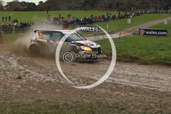 © North One Sport Limited 2010/ Octane Photographic Ltd. 2010 WRC Great Britain, Sunday 14th November 2010. Digital ref : 0120lw1d0246