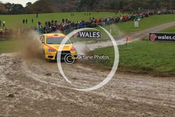 © North One Sport Limited 2010/ Octane Photographic Ltd. 2010 WRC Great Britain, Sunday 14th November 2010. Digital ref : 0120lw1d0249