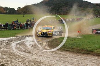 © North One Sport Limited 2010/ Octane Photographic Ltd. 2010 WRC Great Britain, Sunday 14th November 2010. Digital ref : 0120lw1d0299