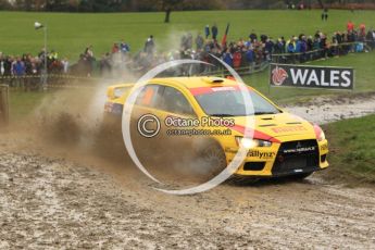 © North One Sport Limited 2010/ Octane Photographic Ltd. 2010 WRC Great Britain, Sunday 14th November 2010. Digital ref : 0120lw1d0310