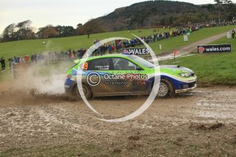 © North One Sport Limited 2010/ Octane Photographic Ltd. 2010 WRC Great Britain, Sunday 14th November 2010. Digital ref : 0120lw1d0382