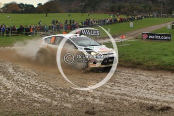 © North One Sport Limited 2010/ Octane Photographic Ltd. 2010 WRC Great Britain, Sunday 14th November 2010. Digital ref : 0120lw1d0440