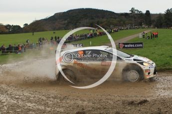 © North One Sport Limited 2010/ Octane Photographic Ltd. 2010 WRC Great Britain, Sunday 14th November 2010. Digital ref : 0120lw1d0443