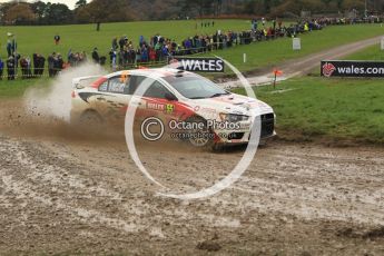 © North One Sport Limited 2010/ Octane Photographic Ltd. 2010 WRC Great Britain, Sunday 14th November 2010. Digital ref : 0120lw1d0470