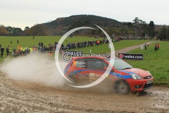 © North One Sport Limited 2010/ Octane Photographic Ltd. 2010 WRC Great Britain, Sunday 14th November 2010. Digital ref : 0120lw1d0578