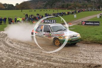© North One Sport Limited 2010/ Octane Photographic Ltd. 2010 WRC Great Britain, Sunday 14th November 2010. Digital ref : 0120lw1d0600
