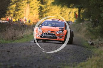 © North One Sport Limited 2010/ Octane Photographic Ltd. 2010 WRC Great Britain, Saturday 13th November 2010. Digital ref : 0119cb1d1648