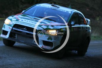 © North One Sport Limited 2010/ Octane Photographic Ltd. 2010 WRC Great Britain, Saturday 13th November 2010. Digital ref : 0119cb1d1738