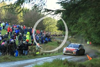 © North One Sport Limited 2010/ Octane Photographic Ltd. 2010 WRC Great Britain, Saturday 13th November 2010. Digital ref : 0119lw1d3377