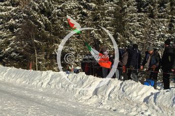 © North One Sport Limited 2011/Octane Photographic Ltd. 2011 WRC Sweden SS19 Torntorp II, Sunday 13th February 2011. Digital ref : 0155LW7D9493