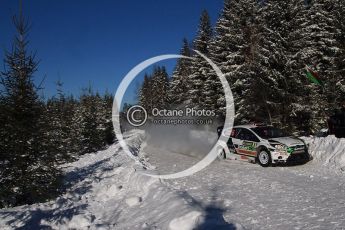 © North One Sport Limited 2011/Octane Photographic Ltd. 2011 WRC Sweden SS19 Torntorp II, Sunday 13th February 2011. Digital ref : 0155LW7D9519