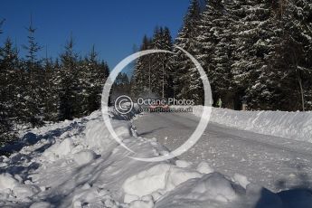 © North One Sport Limited 2011/Octane Photographic Ltd. 2011 WRC Sweden SS19 Torntorp II, Sunday 13th February 2011. Digital ref : 0155LW7D9578