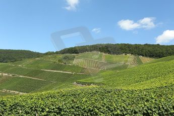 © North One Sport Limited 2010/ Octane Photographic Ltd. 2010 WRC Germany SS3 Moseland I. Digital Ref : 0158cb1d4754