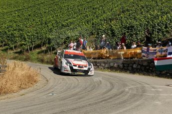 © North One Sport Limited 2010/ Octane Photographic Ltd. 2010 WRC Germany SS3 Moseland I. Digital Ref : 0158cb1d5058