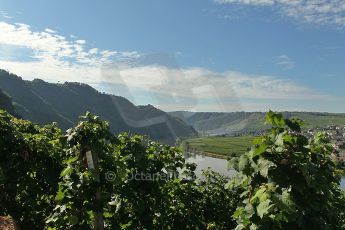 © North One Sport Limited 2010/ Octane Photographic Ltd. 2010 WRC Germany SS3 Moseland I. Digital Ref : 0158cb1d4381