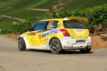 © North One Sport Limited 2010/ Octane Photographic Ltd. 2010 WRC Germany SS3 Moseland I. Digital Ref : 0158lw7d4698