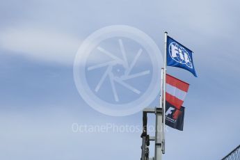 World © Octane Photographic Ltd. FIA Formula 1 flag. Thursday 30th June 2016, F1 Austrian GP Pit Lane, Red Bull Ring, Spielberg, Austria. Digital Ref : 1594CB5D2385