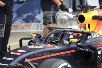 World © Octane Photographic Ltd. Red Bull Racing RB12 with halo cockpit protection device – Pierre Gasly. Tuesday 12th July 2016, F1 In-season testing, Silverstone UK. Digital Ref :1618LB1D7351