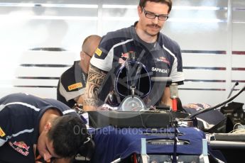 World © Octane Photographic Ltd. Scuderia Toro Rosso STR11. Thursday 24th November 2016, F1 Abu Dhabi GP - Pitlane, Yas Marina circuit, Abu Dhabi. Digital Ref :