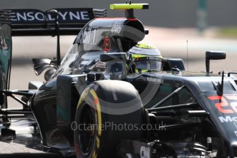 World © Octane Photographic Ltd. McLaren Honda MP4-31 – Jenson Button. Friday 25th November 2016, F1 Abu Dhabi GP - Practice 1, Yas Marina circuit, Abu Dhabi. Digital Ref : 1756LB1D8370