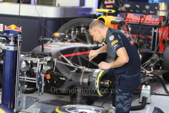 World © Octane Photographic Ltd. Red Bull Racing RB12 – Max Verstappen. Friday 25th November 2016, F1 Abu Dhabi GP - Practice 1, Yas Marina circuit, Abu Dhabi. Digital Ref :
