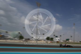 World © Octane Photographic Ltd. McLaren Honda MP4-31 – Fernando Alonso. Friday 25th November 2016, F1 Abu Dhabi GP - Practice 1, Yas Marina circuit, Abu Dhabi. Digital Ref : 1756LB2D7273