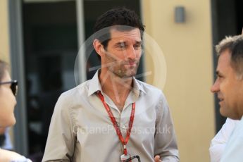 World © Octane Photographic Ltd. Mark Webber. Saturday 26th November 2016, F1 Abu Dhabi GP - Practice 3, Yas Marina circuit, Abu Dhabi. Digital Ref :