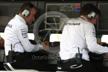 World © Octane Photographic Ltd. Mercedes AMG Petronas – Paddy Lowe on the pit wall. Saturday 26th November 2016, F1 Abu Dhabi GP - Practice 3. Yas Marina circuit, Abu Dhabi. Digital Ref :