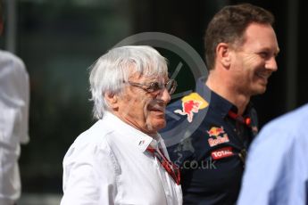 World © Octane Photographic Ltd. Bernie Ecclestone and Christian Horner - Red Bull Racing. Saturday 26th November 2016, F1 Abu Dhabi GP - Paddock, Yas Marina circuit, Abu Dhabi. Digital Ref : 1764LB1D9573