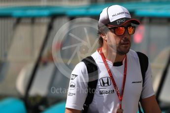 World © Octane Photographic Ltd. McLaren Honda MP4-31 – Fernando Alonso. Saturday 26th November 2016, F1 Abu Dhabi GP - Paddock, Yas Marina circuit, Abu Dhabi. Digital Ref : 1764LB1D9730