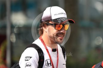 World © Octane Photographic Ltd. McLaren Honda MP4-31 – Fernando Alonso. Saturday 26th November 2016, F1 Abu Dhabi GP - Paddock, Yas Marina circuit, Abu Dhabi. Digital Ref : 1764LB1D9740