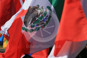 World © Octane Photographic Ltd. Sunday 20th March 2016, F1 Australian GP - Grid, Melbourne, Albert Park, Australia. Digital Ref : 1523LB1D6576