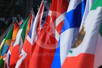 World © Octane Photographic Ltd. Sunday 20th March 2016, F1 Australian GP - Grid, Melbourne, Albert Park, Australia. Digital Ref : 1523LB1D6594