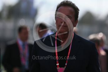 World © Octane Photographic Ltd. Arnold Schwarzenegger. Sunday 20th March 2016, F1 Australian GP - Grid, Melbourne, Albert Park, Australia. Digital Ref : 1523LB1D6691